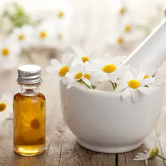Huile essentielle de camomille romaine dans un flacon, entourée de fleurs fraîches dans un mortier. Découvrez les camomille romaine bienfaits pour la relaxation.