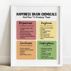 Plakat "HAPPINESS BRAIN CHEMICALS" opisuje dopaminę, oksytocynę, serotoninę i endorfiny. Oksytocyna, "hormon szczęścia", jest produkowana przez bliskość z bliskimi.