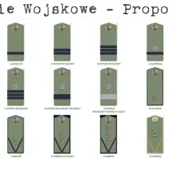 Ilustracja prezentuje propozycje oznaczeń wojskowych, od niższych stopni po generała, z nazwami i numeracją.