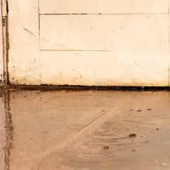 Nasser Keller: Wasser steht vor einer alten Holztür und an der Wand. Was tun?