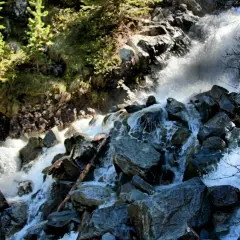 Agua blanca cae sobre rocas oscuras en una cascada de Gerber, rodeada de pinos verdes y vegetación.