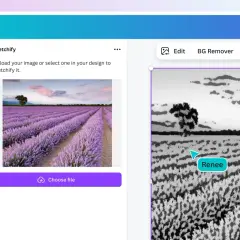 Jak zrobić kolaż na telefonie? Canva Sketchify przekształca zdjęcie pola lawendy w szkic.
