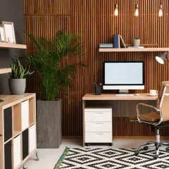 Un accogliente ufficio in casa con scrivania, sedia in pelle, piante e librerie. Idee per un ambiente di lavoro funzionale e rilassante.