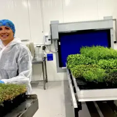 Kvinna i skyddskläder hanterar småplantor i ett växthus. Bredvid står en hylla med gröna växter, upplyst av en dimmer 1000w.