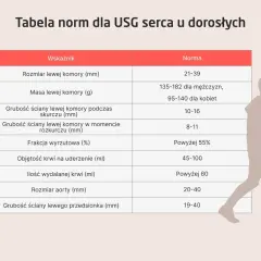 Tabela norm dla USG serca u dorosłych: rozmiar, masa, grubości ścian, frakcja wyrzutowa, objętość krwi na uderzenie i ilość wydalanej krwi.