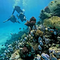 Marsa Alam: Podwodny raj i pustynne przygody. Planuj wakacje!