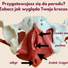 Masaż krocza przed porodem: Jak uniknąć nacięcia i pęknięć?