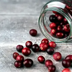 Pies i suszona żurawina: Bezpiecznie czy toksycznie? Sprawdź skład!