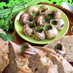 Escargots: kulinarne skarby, zdrowotne korzyści i historia ślimaków
