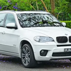 Białe BMW X5 na tle zieleni. Wiele osób szuka bmw x5 opinie przed zakupem.