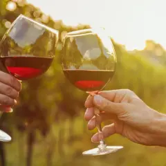 Dwie ręce wznoszą kieliszki z czerwonym winem, celebrując smak Cannonau di Sardegna wśród winorośli w złotym świetle zachodzącego słońca.