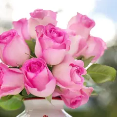 Un bouquet de roses roses tendres, symbolisant l'amour et la gratitude. Leurs pétales délicats évoquent la douceur d'un sentiment pur.