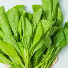 Ein Bündel frischer, grüner Blätter, die an Spinat erinnern. Dieses Blattgemüse ist ein Beweis dafür, wie gesund spinat gesund ist.