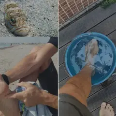Pez escorpión picadura: pie en agua caliente tras sufrir una picadura en la playa.