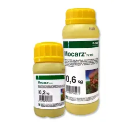 Mocarz: Cena, Skład, Objawy Zatrucia i Prawne Konsekwencje