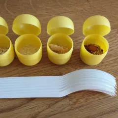 Jak zrobić marakasy z butelki? Prosty DIY dla dzieci i recykling.