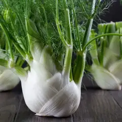 Kilka białych, cebulastych fenkułów z zielonymi, pierzastymi liśćmi na ciemnym drewnianym tle. Fenkuł co to? To aromatyczne warzywo.