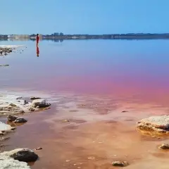 Alicante różowe jezioro zachwyca odcieniem. Samotna postać w czerwieni stoi w wodzie, odbijając się w jej tafli.