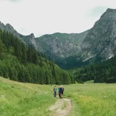Tatry: Najpiękniejsze miejsca, szlaki i porady. Twój przewodnik!