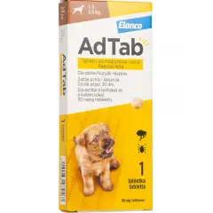 Kleszcze u psa: Tabletki, obroże, krople? Wybierz mądrze!