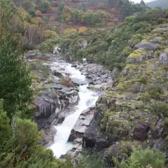 El agua desciende en cascada por la fervenza da feixa, rodeada de rocas cubiertas de musgo y vegetación frondosa.