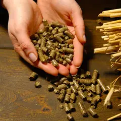 Dłonie trzymające gotowy pellet ze słomy, obok snopki słomy. Tak wygląda efekt procesu, jak się robi pellet ze słomy.