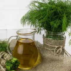 Frischer Dill, ein Symbol für Wohlbefinden, wird oft in der Schwangerschaft empfohlen. Hier ist Dill in der Schwangerschaft mit Öl dargestellt.