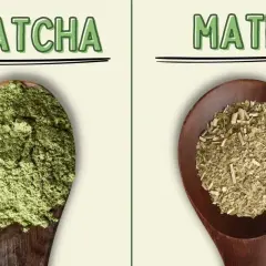 Fein gemahlenes Matcha-Pulver und zerkleinerte Mate-Blätter auf Holzlöffeln. Ein visueller Vergleich von Matcha vs. Mate.
