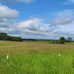 Kruklanki atrakcje: Odkryj najpiękniejsze miejsca i aktywności w naturze