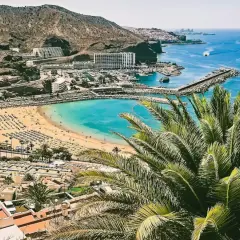 Widok na zatokę z plażą i palmami. Zastanawiasz się, ile się leci na Wyspy Kanaryjskie, by podziwiać takie krajobrazy?
