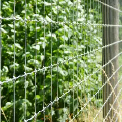 Metalowe ogrodzenie leśne z drutu kolczastego, oddzielające gęsty zielony las od suchej trawy.