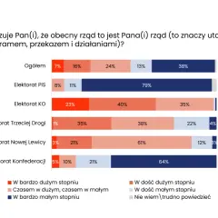 Wykres 7: 79% wyborców PiS utożsamia się z rządem. Pozostali w mniejszym stopniu.