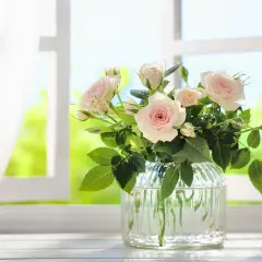 Un bouquet de roses pâles dans un vase en verre, près d'une fenêtre. Voici des astuces pour comment conserver des fleurs coupées.