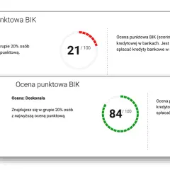 Bik co to - jak biuro informacji kredytowej wpływa na twoje finanse