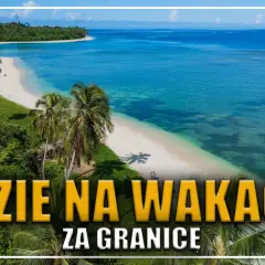 Rajska plaża z palmami i turkusową wodą. Idealne kraje na wakacje za granicę.