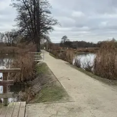 Spacer po ścieżce nad jeziorem, idealne miejsce na spacer z psem w Białowieży.