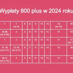 800 plus: Kompletny przewodnik. Jak złożyć wniosek i kiedy wypłata?