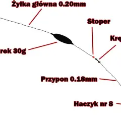 Wędka gruntowa: Uzbrój ją perfekcyjnie. Poradnik krok po kroku