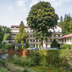 Sanatorium uzdrowiskowe Malwa otoczone zielenią, z potokiem i drzewami.