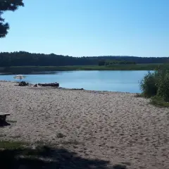 Piękna plaża nad jeziorem, idealna na spacer. Zwierzyniec trasa zaprasza do odpoczynku.