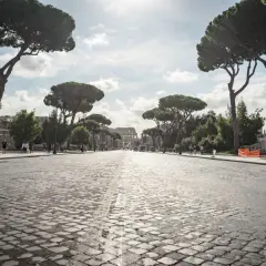 Viale alberato con pini marittimi che conduce al Colosseo, un'icona del re di Roma quartiere. Passeggiata suggestiva su sampietrini.