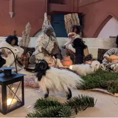 Hirten mit Schafen und Ziegen vor einer Krippe, die die Frage aufwirft, woher das Christkind kommt.