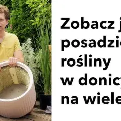 Jak skutecznie sadzić w donicach z wkładem i uniknąć błędów