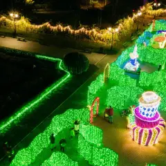 Magiczny park miliona świateł nocą. Zielone labirynty, kolorowe grzyby i gigantyczne ciastko tworzą bajkową scenerię.