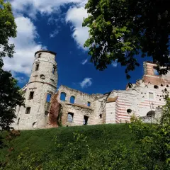 Ruiny zamku na wzgórzu, z charakterystyczną wieżą i ceglanymi pasami. Wspaniałe janowiec atrakcje turystyczne.