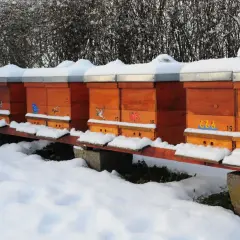 Bienenstöcke im Schnee. Die Bienen sind im Winter nicht aktiv, aber sie sterben nicht, sondern ruhen sich aus.