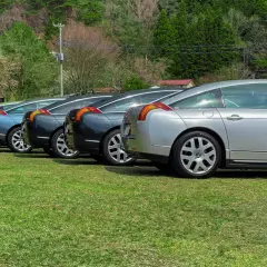 Rząd eleganckich samochodów Citroën C6 w różnych kolorach, zaparkowanych na trawie, z lasem w tle.