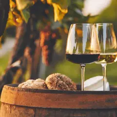 Zwei Gläser Wein, rot und weiß, stehen auf einem Holzfass neben Brot und Käse im Weinberg. Ein perfekter Regent Wein Moment.