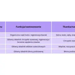Tabela przedstawia typy kolagenu, ich funkcje i zastosowania, np. kolagen typu II dla chrząstek stawowych.