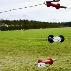 Jak zrobić uziemienie do pastucha, aby uniknąć problemów z działaniem